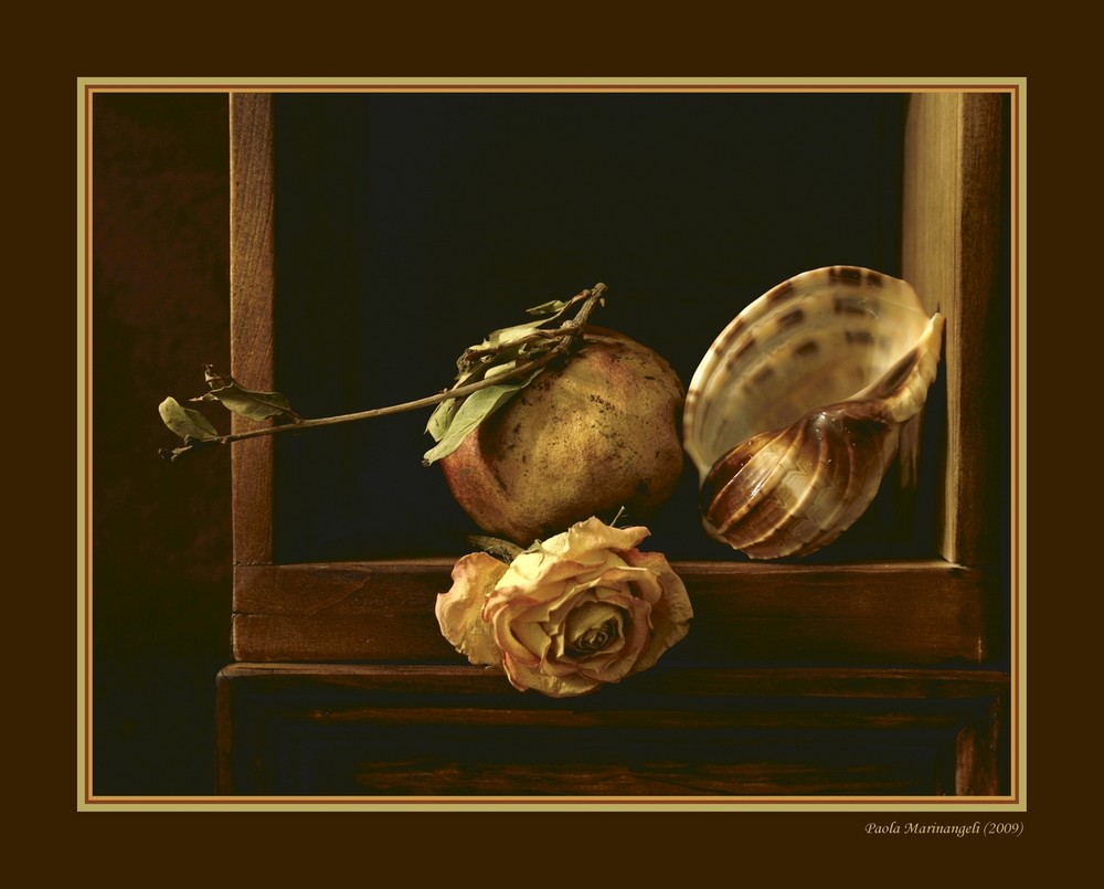 Still life with pomegranate, rose and sea-shell