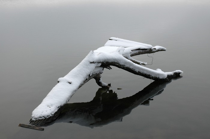 Still ruht das ... von Rainer Schulz