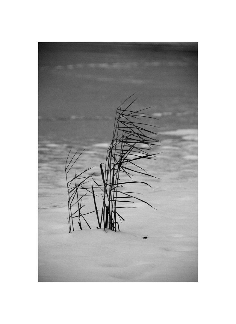 still ruht der baggersee III