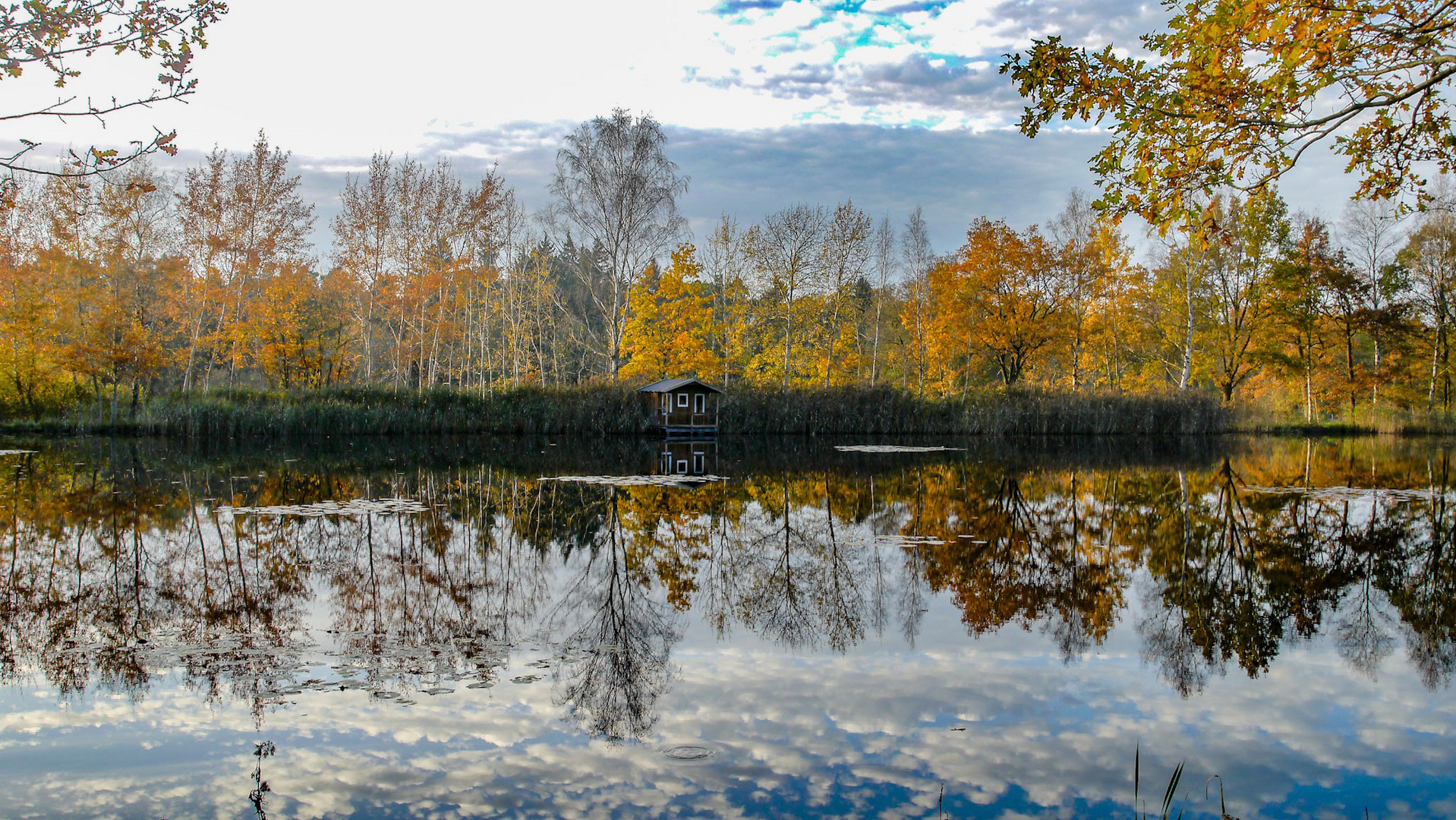 Still ruht der Fischteich. 