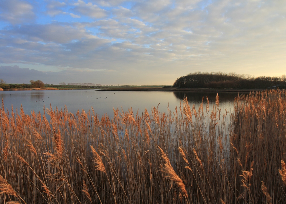 Still ruht der See