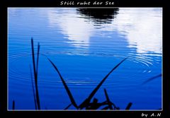 Still ruht der See