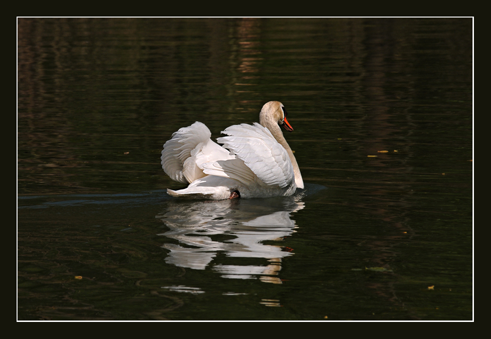 still ruht der See...