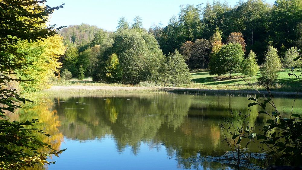 Still ruht der See Foto & Bild landschaft, bach, fluss & see, see