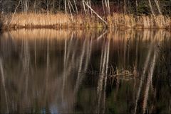 Still ruht der See, auch ohne Schnee