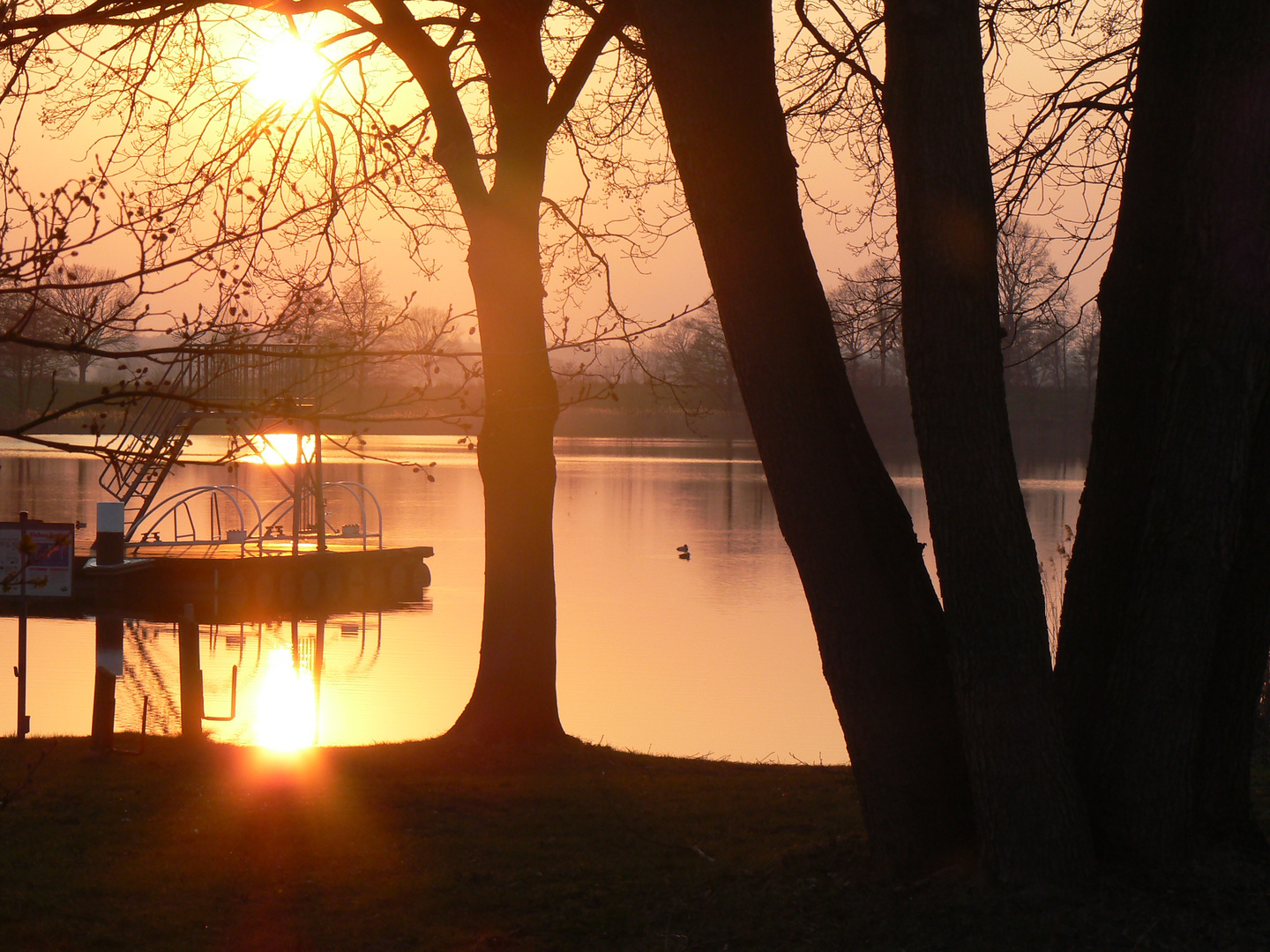 Still ruht der See