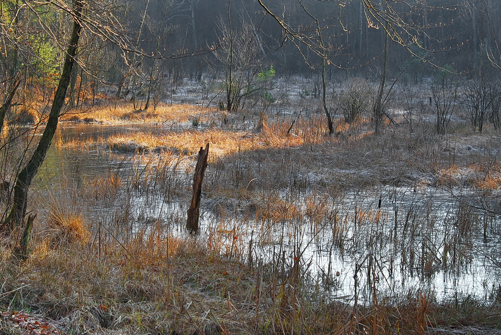 still ruht der see...