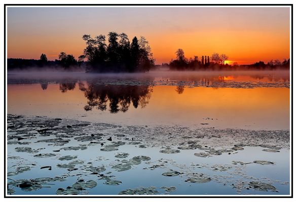 Still ruht der See I