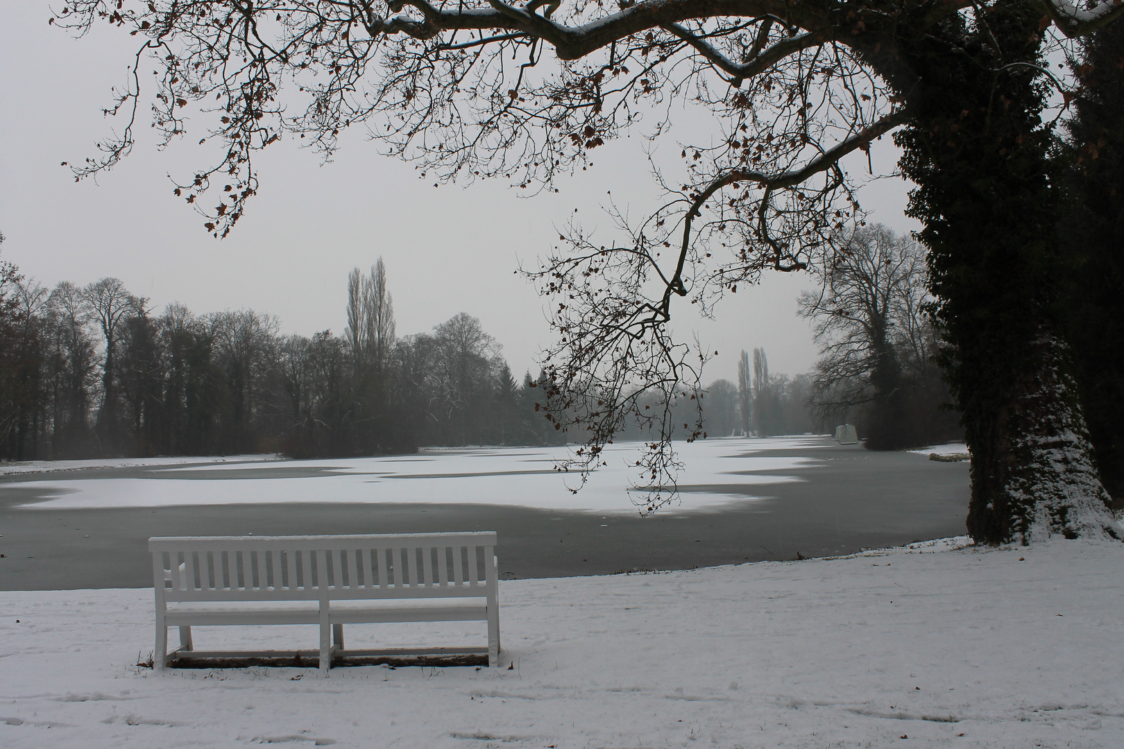 Still ruht der See im Schwetzinger Schlossgarten