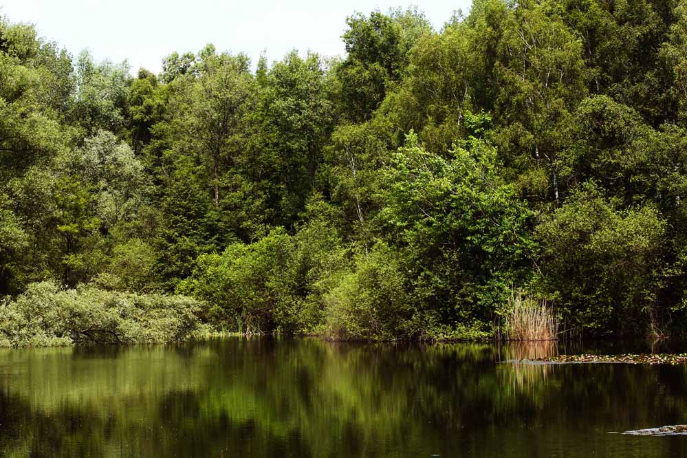 still ruht der See - mit Spiegelung