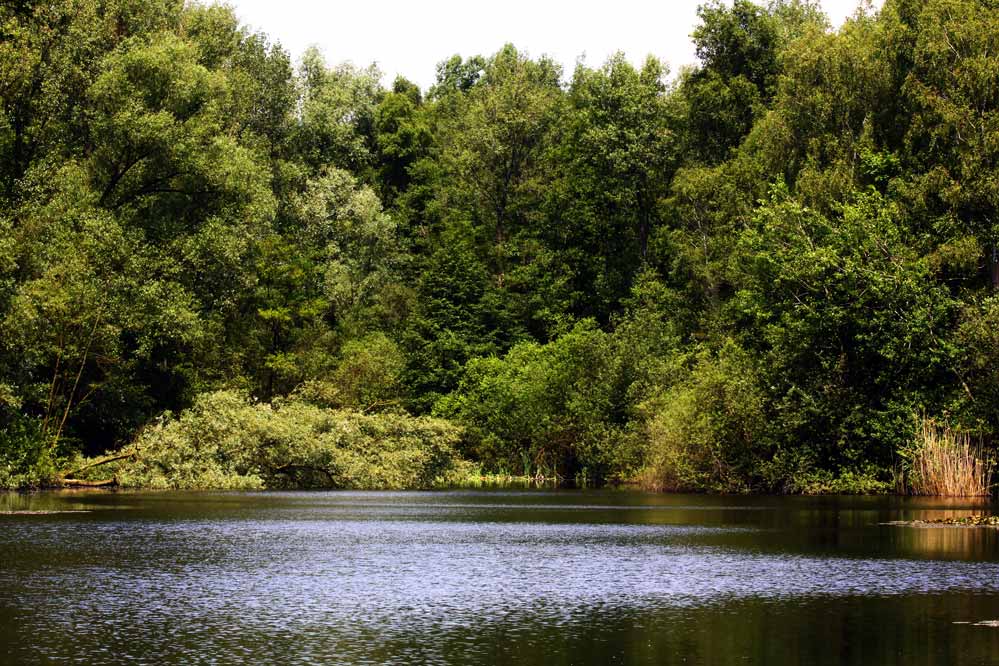 still ruht der See - ohne Spiegelung