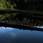 still ruht der See, Sterne funkeln am Firmament,  fahl beleuchtet der Mond den Wald