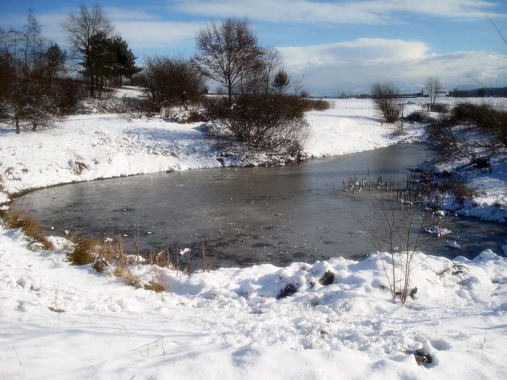 Still ruht der Teich