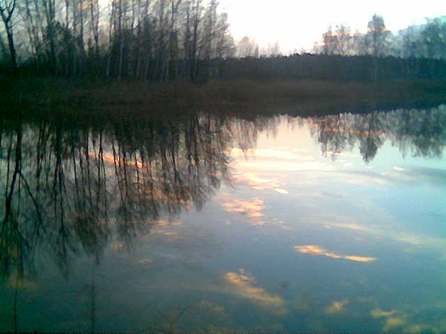 Still ruht der Teich by Christine Jungnickel 