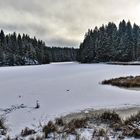 Still ruht der Vogtlandsee