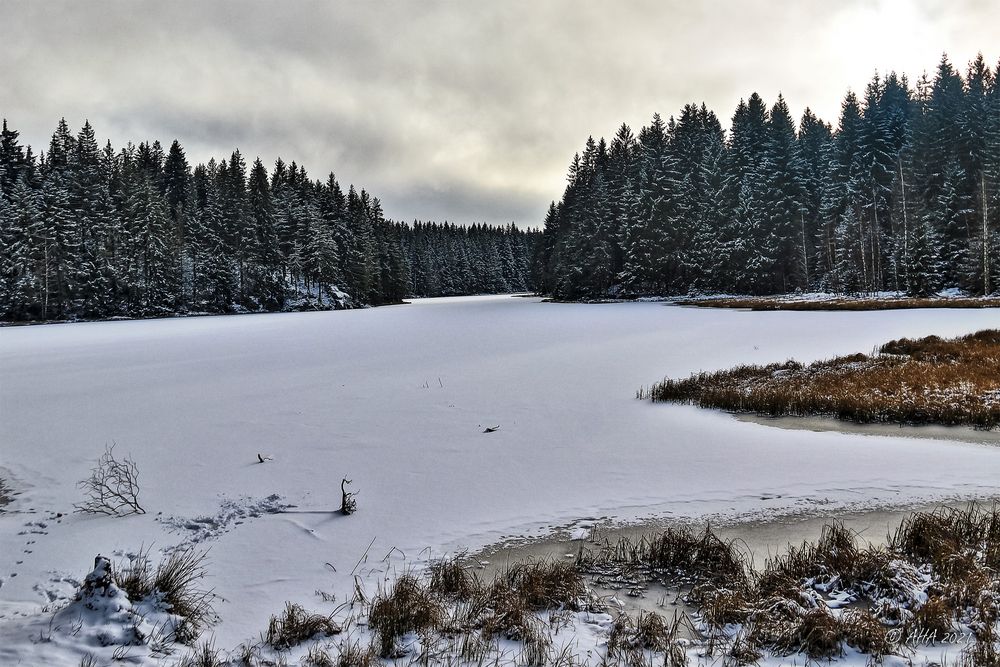 Still ruht der Vogtlandsee