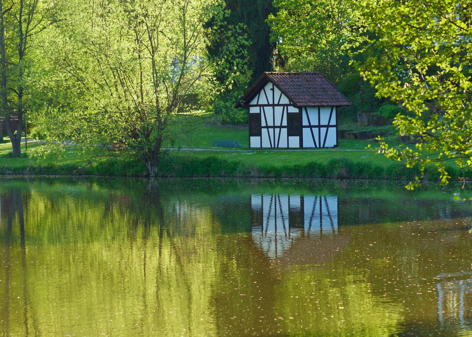 Still ruht der Weiher