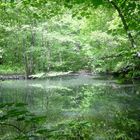 Still ruht der Zaubersee