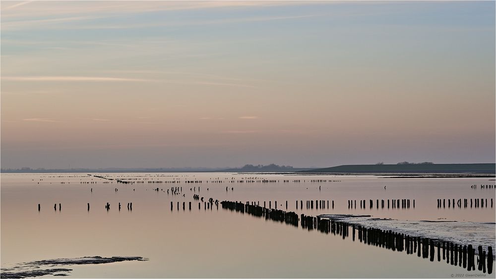 ::: Still ruht | die Nordsee :::