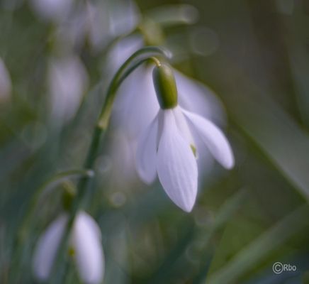 still und leise.....