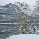 still und stad ruht der See