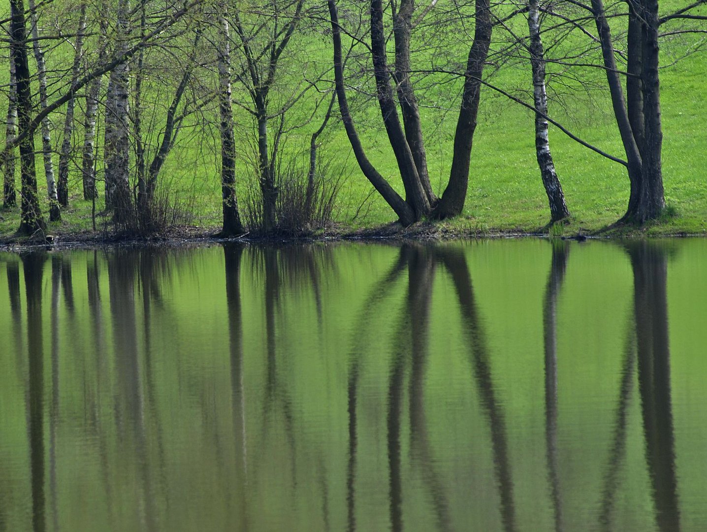 Still und starr liegt der See......