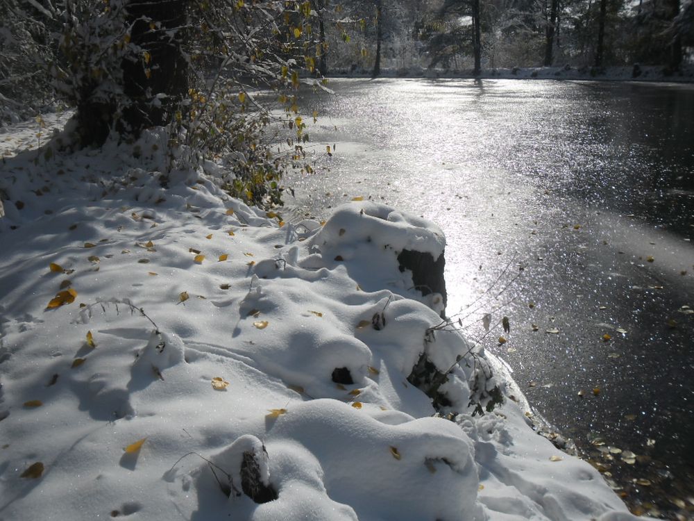 Still und starr liegt der See...