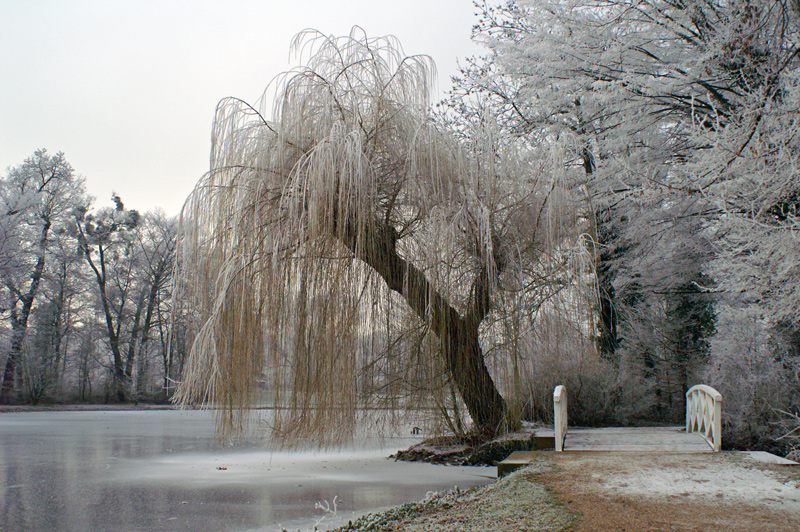 Still und starr ruht der See