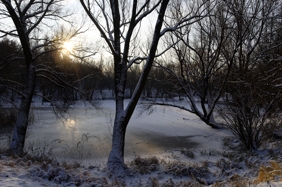 Still und starr ruht der See