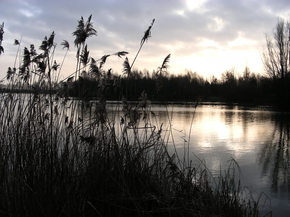 still und starr ruht der See