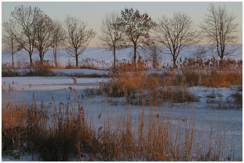 Still und starr ruht der See