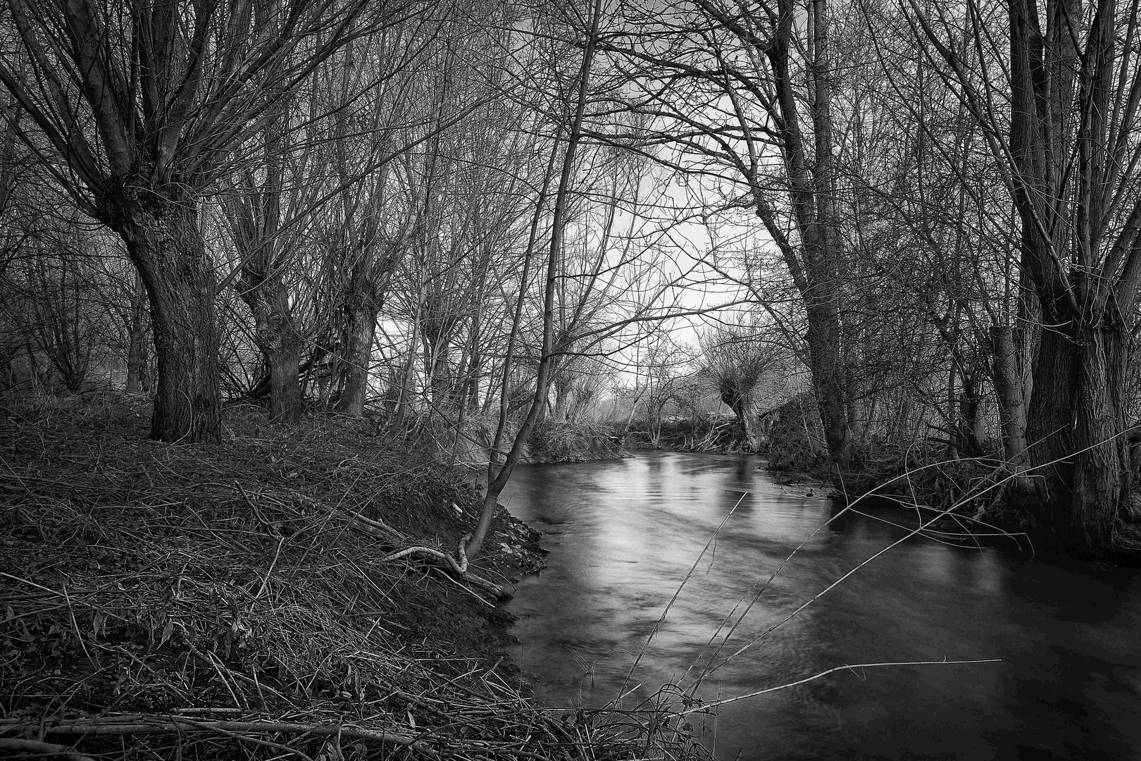 Still Waters (wetlands series)