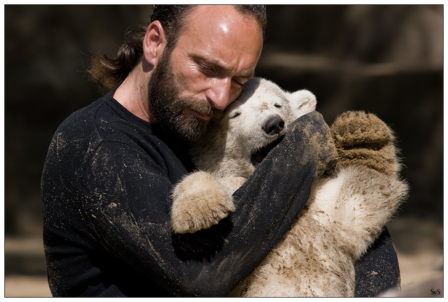 still wurde es um die zwei Foto & Bild tiere, zoo, wildpark