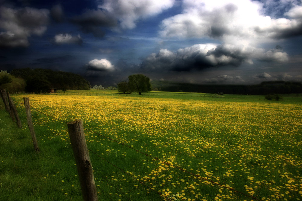 Stille... von Martina Osterburg