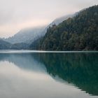 Stille am Alpsee 