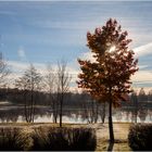 Stille am Badesee