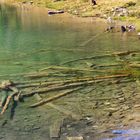 Stille am Bergsee