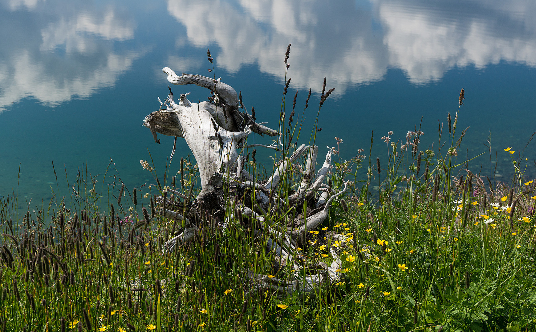 Stille am Bergsee