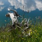 Stille am Bergsee