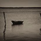  Stille am Bodden