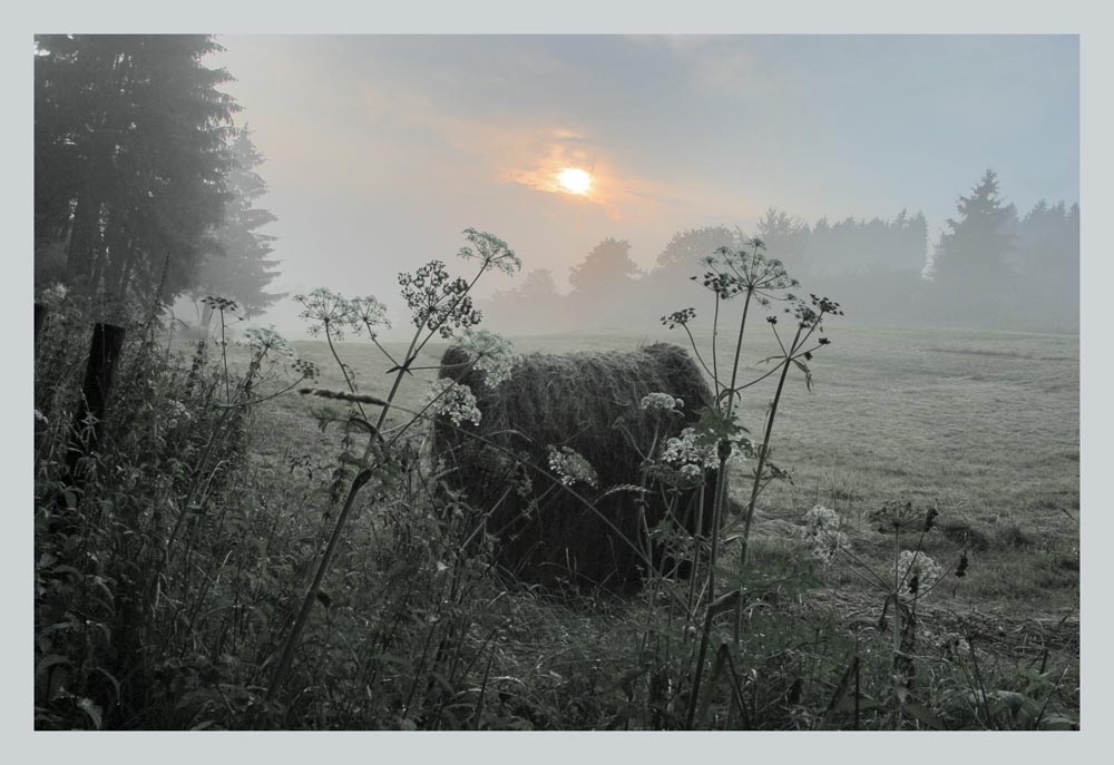 Stille am Feldrand