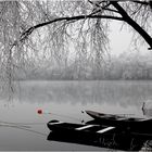 Stille am Grötzinger Baggersee