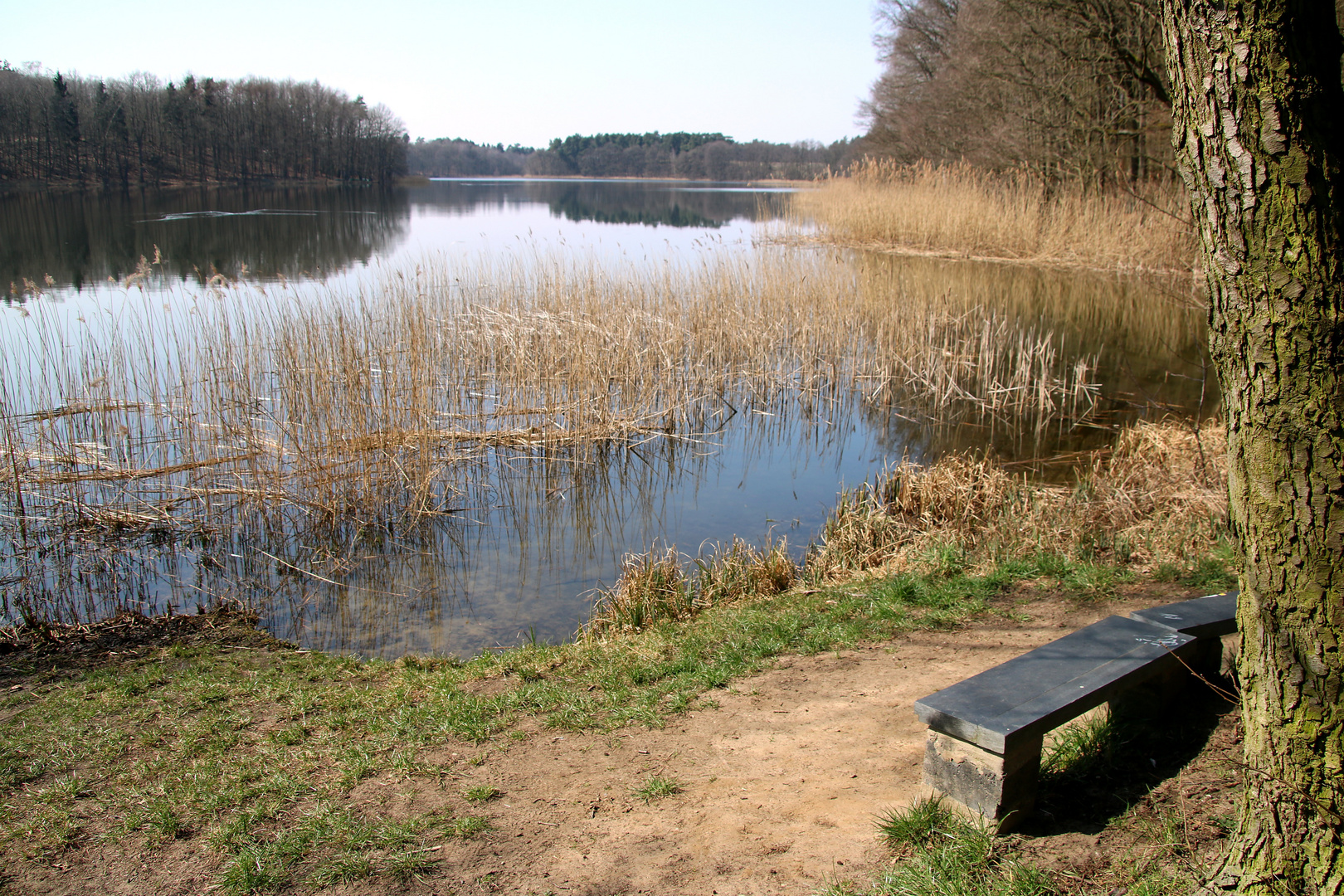 Stille am großen Dölchsee