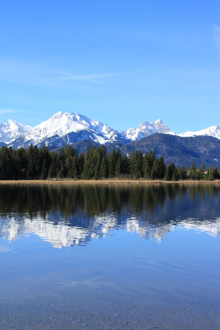 Stille am Hopfensee