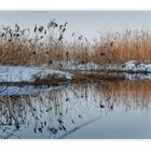 Stille am kleinen Moorsee