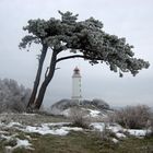 Stille am Leuchtturm Dornbusch Insel Hiddensee