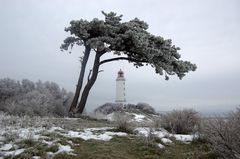 Stille am Leuchtturm Dornbusch Insel Hiddensee