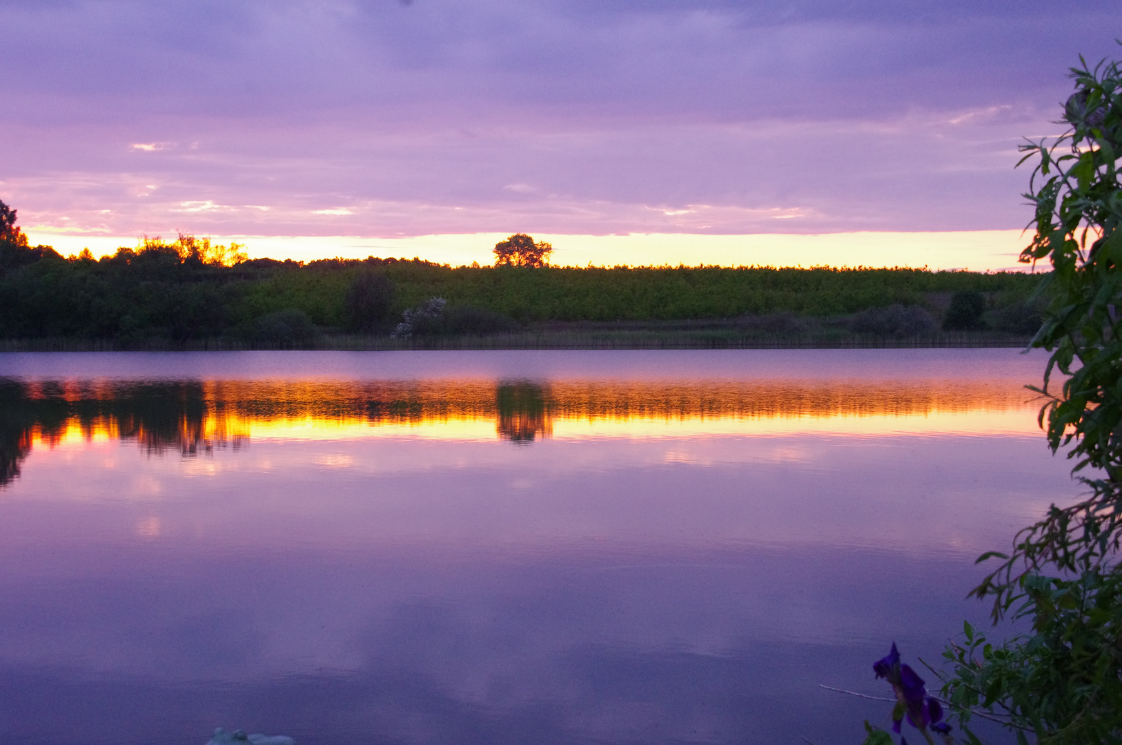 Stille am Melzer See