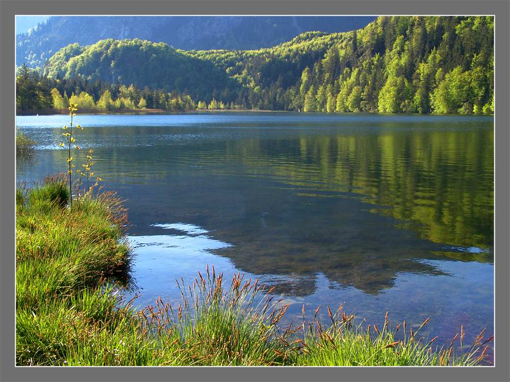 Stille am morgendlichen See