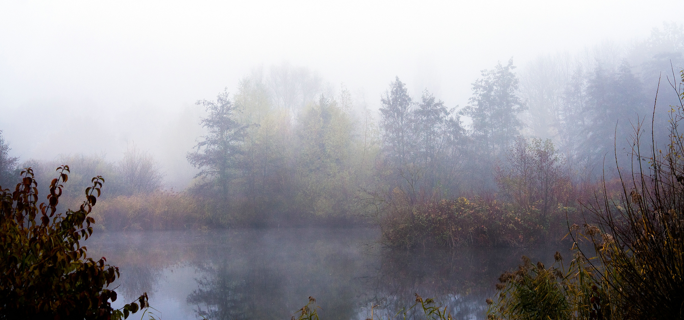 Stille am Park-See